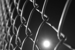 Moonlight In A Fence