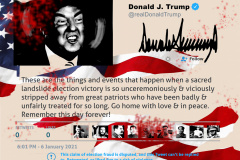 Famous Tweets - Trump - Fascists - Diptych