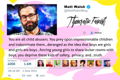 Famous Tweets - Matt Walsh - You  Are All Child Abusers