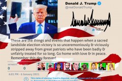 Famous Tweets - Trump - Patriots - Diptych