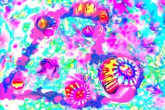 Upside Down Jellyfish - Violet Heart