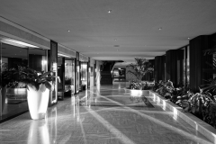 DSC02446
