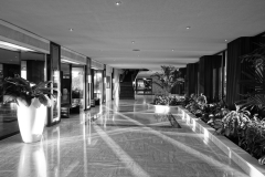 DSC02447