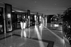 DSC02448