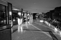 DSC02449