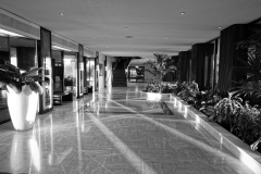 DSC02450