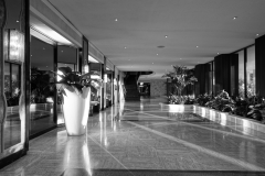 DSC02451