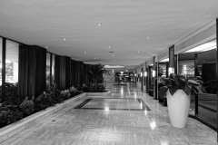DSC02453
