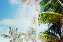 Morning Shower