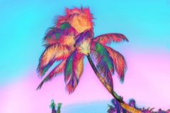 Burning Bright