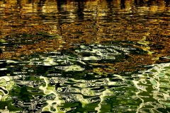Monet In The Keys
