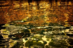 Monet In The Keys II