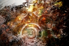 Autumn Rain 2