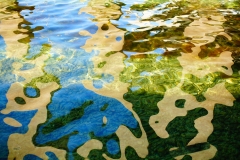 Summer's Reflections