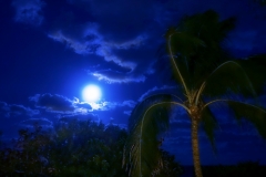 Nightlife