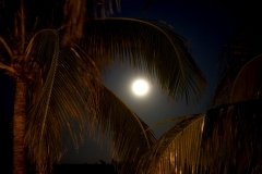 Night Light 2