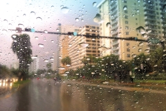 Warm Rain, Miami
