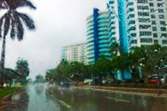 Cool Rain, Miami